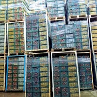 سیب درختی|خوردنی و آشامیدنی|شاهین‌شهر, برخوار غرب|دیوار