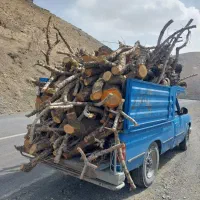 چوب ذغالی.چوب کبوده