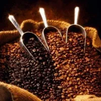 قهوه -دون سبز -پودر قهوه