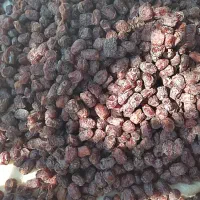 فروش|عمده‌فروشی|توکهور, |دیوار