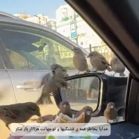 پژو ۲۰۶sd دوگانه کارخانه موتور TU5 آریان