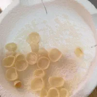 ساخت کور زیرکونیا دندان(لابراتوار دندانسازی)