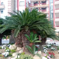 فضای سبز باغ ویلا