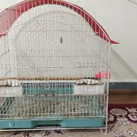 قفس دونه ای ۳۵۰ تومان