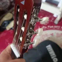 گیتار|گیتار، بیس، امپلیفایر|مریوان, |دیوار