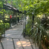 کار در کافه رستوران