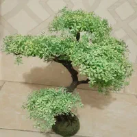 درختچه آکواریوم