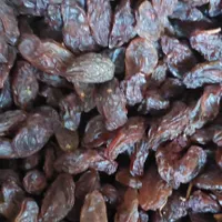 کشمش مویز|عمده‌فروشی|مرودشت, ژیان|دیوار