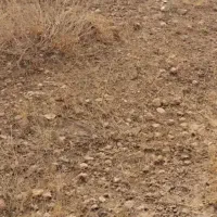 ۲۰۰زمین مسکونی شهرک خوش آب وهوای هیو