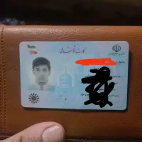 پیدا شده