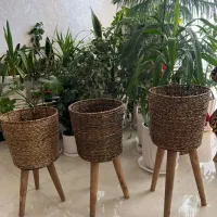 جا گلدانی نو