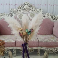 مبل سلطنتی|مبلمان خانگی و میز عسلی|جهرم, |دیوار