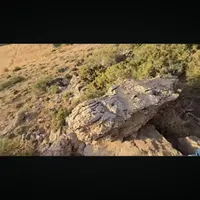 همراه طبیعت گردی
