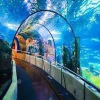 وان ترکیه ویژه کنسرت ابی