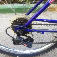 فروش فوری دوچرخه|دوچرخه، اسکیت، اسکوتر|فردیس, شهرک گلها|دیوار