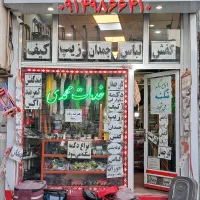 کیف کفش چمدان