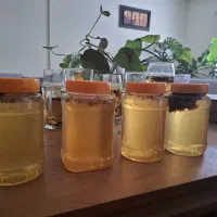 عسل طبیعی