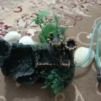 آکواریوم همراه لوازم|لوازم جانبی حیوانات|پاکدشت, شهرک امام رضا|دیوار