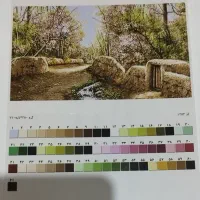 تابلو فرش نیمه کاره همراه با دار قالی چله ابریشم .|تابلو فرش|پردیس, فاز ۱|دیوار