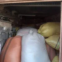 کاه نارد آبی|عمدهفروشی|تربت جام, جامرود|دیوار