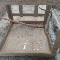 قفس پرنده|لوازم جانبی حیوانات|باغ ملک, |دیوار