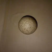 فروش سنگ و انگشتر قدیمی.|جواهرات|سنندج, |دیوار