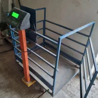 باسکول دام ۳۰۰ کیلویی