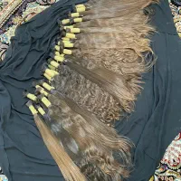 خریدار اصلی مو در مرکز خرید موی گیسو طلا