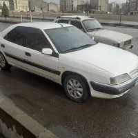 زانتیا ۸۸ سالم