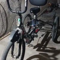 سه چرخه بزرگ سال