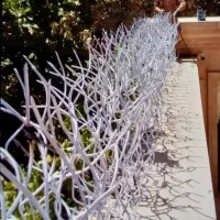 حفاظ روی دیوار در مشهد و گلبهار