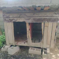 لونه سگ دودر فروشی
