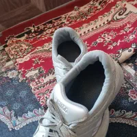 کفش ورزشی|تجهیزات ورزشی|هشترود, |دیوار