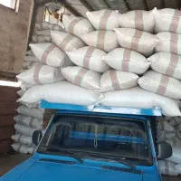 پخش چای بهاره درجه ۱