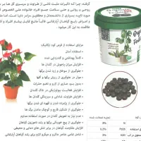 قرص کود|گل و گیاه طبیعی|نائین, |دیوار