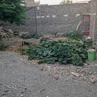 زمین چهار دیواری|فروش زمین و ملک کلنگی|تربت‌حیدریه, بالا ولایت|دیوار