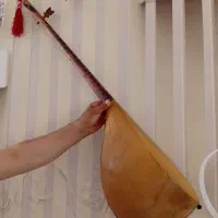 دوتار حرفه ای