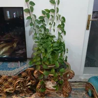 فروش مبل و ناهارخوری و میزتلویزیون|مبلمان خانگی و میز عسلی|سیرجان, |دیوار