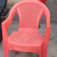 وسایل آرایشگاه|آرایشگاه و سالنهای زیبایی|دیلم, |دیوار