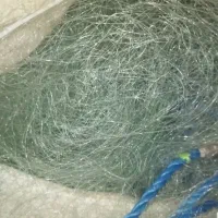 تور گوافی ۳ انگشت
