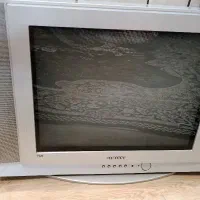 تلویزیون