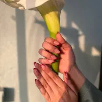 جذب ناخنکار