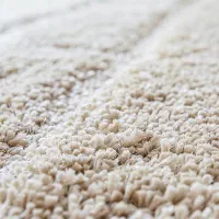 موکت های اقتصادی پالاز 20% زیر قیمت و ارسال رایگان|موکت|تهران, عباس‌آباد|دیوار
