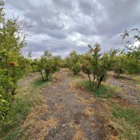 فروش باغ ۷۰۰ متری|فروش زمین و ملک کلنگی|فردوس (خراسان), |دیوار