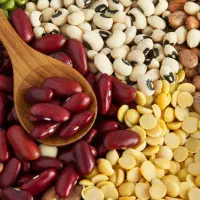 سرمایه گذاری استخدام دربسته بندی زعفران وگلاب|استخدام صنعتی، فنی، مهندسی|کرج, باغستان|دیوار