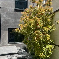 آپارتمان-دوبلکس-220-متر