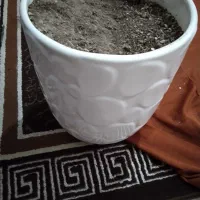 گلدان سفالی زیبا