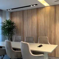 ویزتور ساده یا حرفه ای