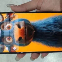 موبایل|موبایل|گرمدره, |دیوار