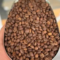 فروش و پخش دان قهوه سوپر کرما خامه دار